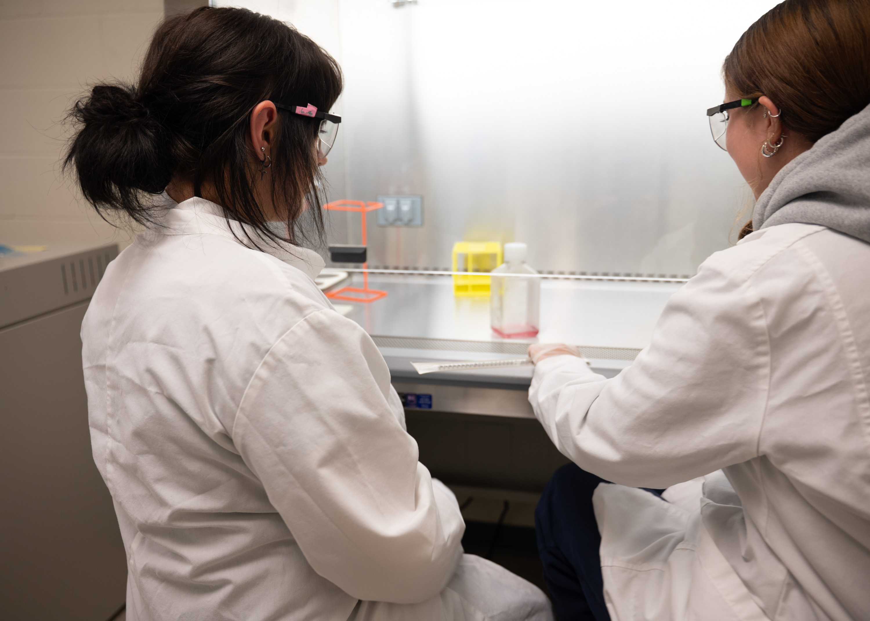 Biomedical Science students working in the lab